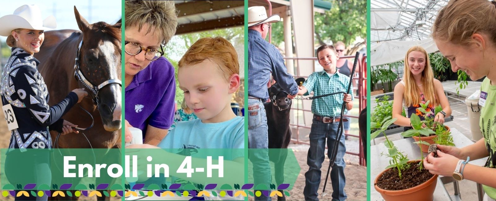 Enroll in 4-H Banner with Text