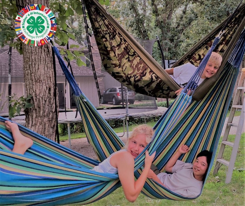 Hammock Lounging on a Lazy Summer Afternoon