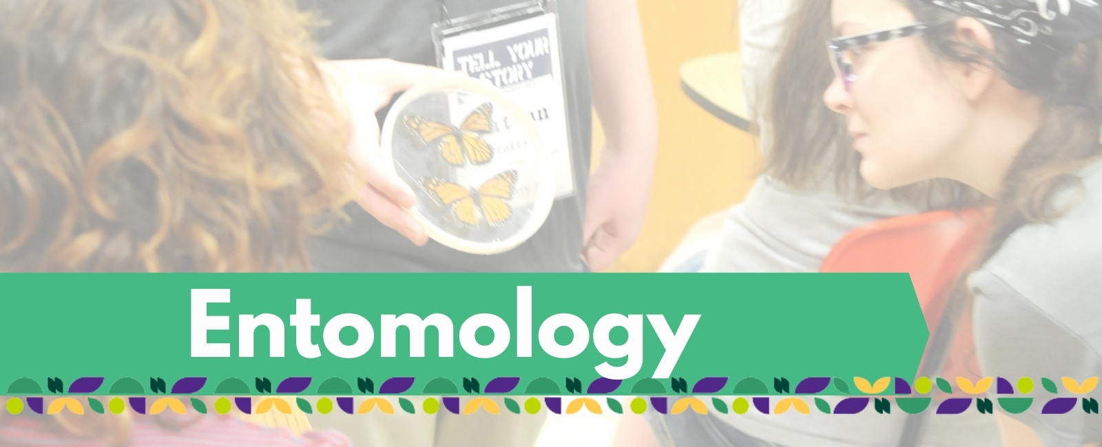 entomology project banner with text